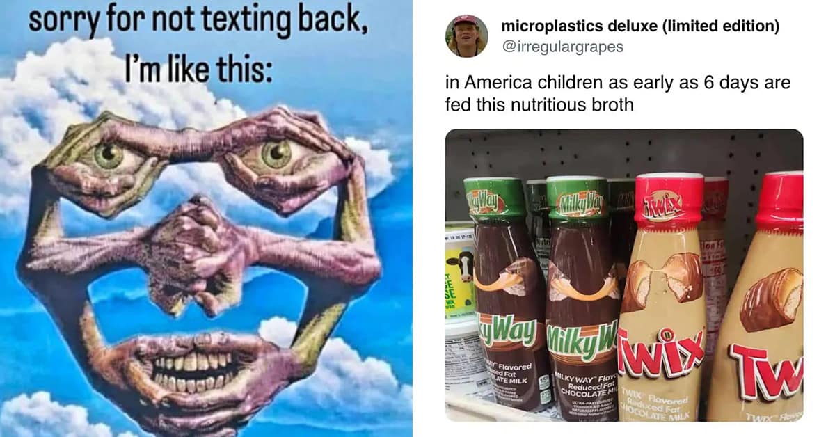 Collection of funny meme images and meme dump compilations featuring Tesla fails and folded pizza hacks