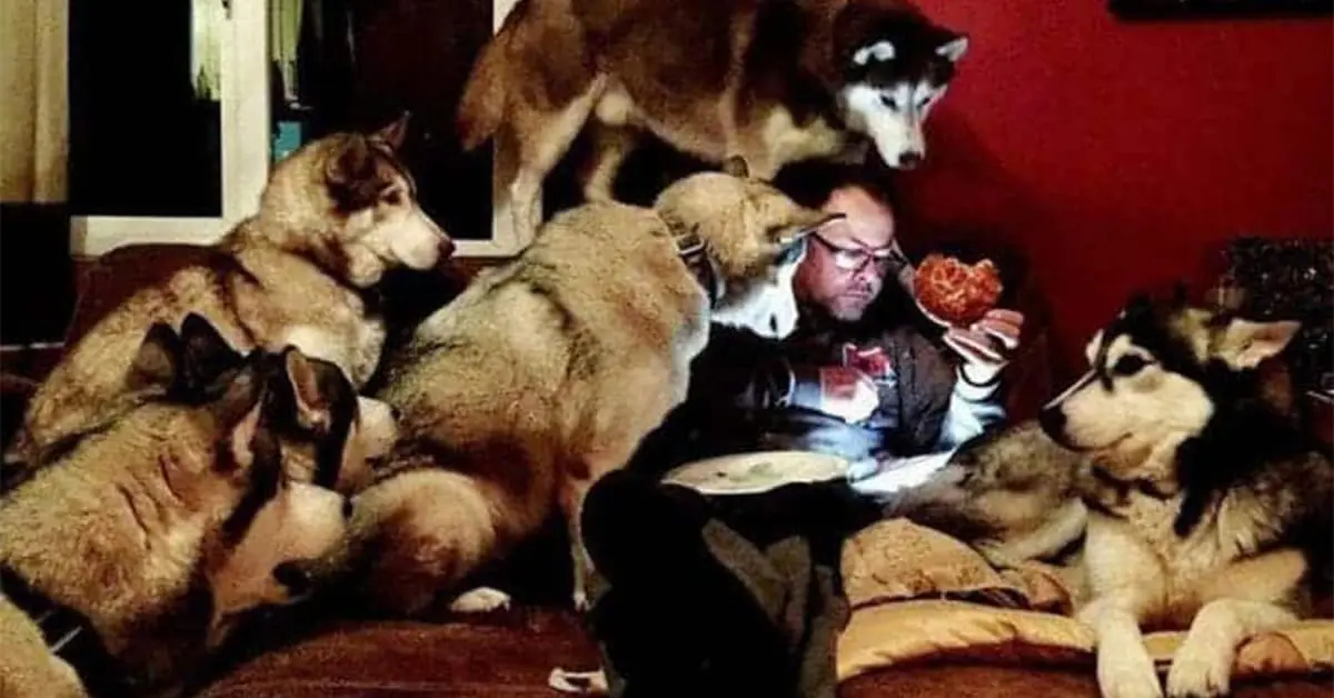 Collection of accidental renaissance painting images and modern photo that's accidentally renaissance compilations including cats touching paws and dramatic sports moments