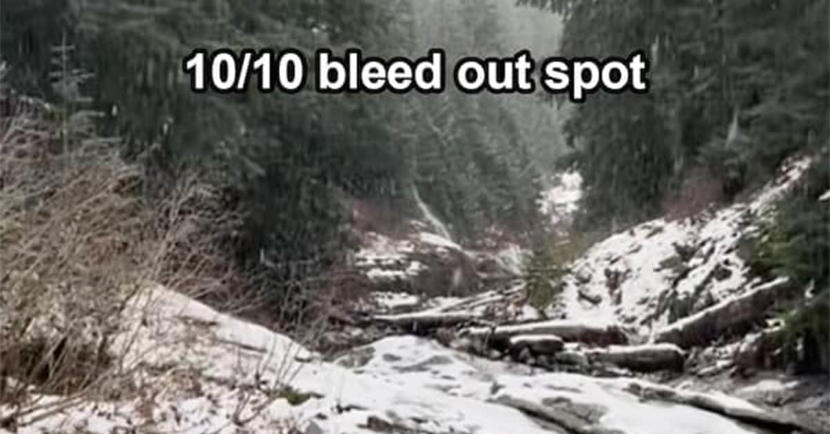 Montage of beautiful landscapes used for the 10/10 bleed out spot meme trend