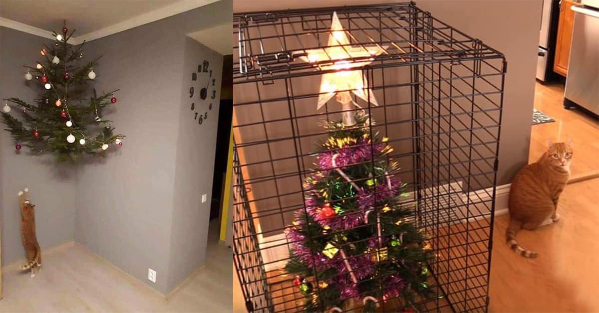 Collection of cat christmas tree images and funny picture of cat proofing christmas tree compilations featuring cages and vacuums