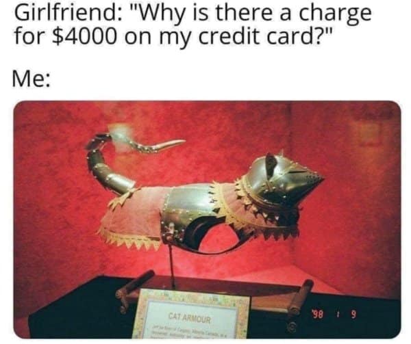 A classic meme showing a cat wearing a full suit of metal armor explaining a credit card charge.