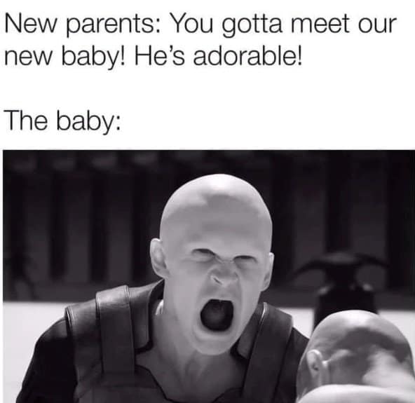 A classic meme comparing a new baby to a screaming pale alien humanoid.