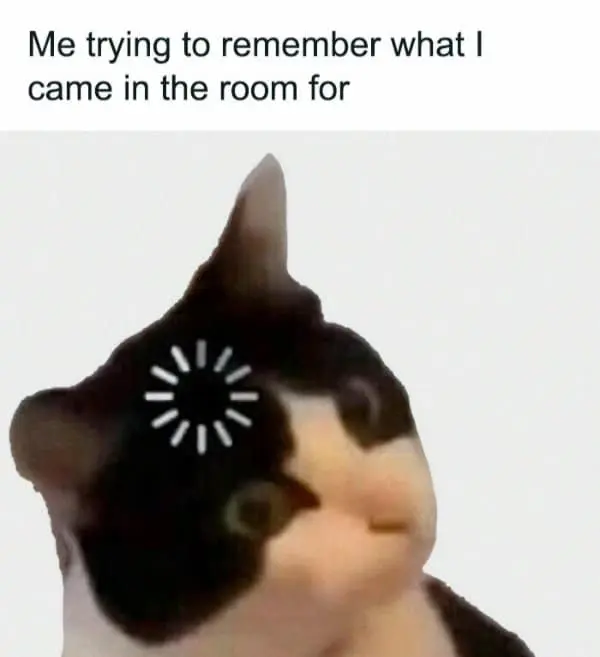 A classic meme of a cat with a buffering symbol on its head forgetting why it entered a room.
