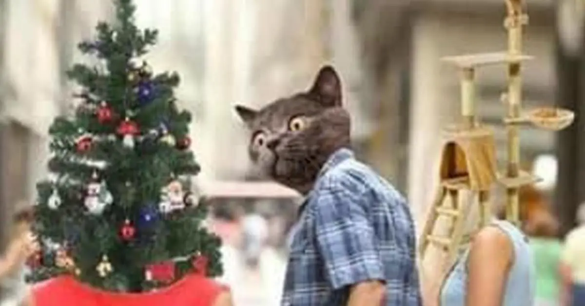 Collection of classic memes and vintage memes featuring John Candy and nostalgia