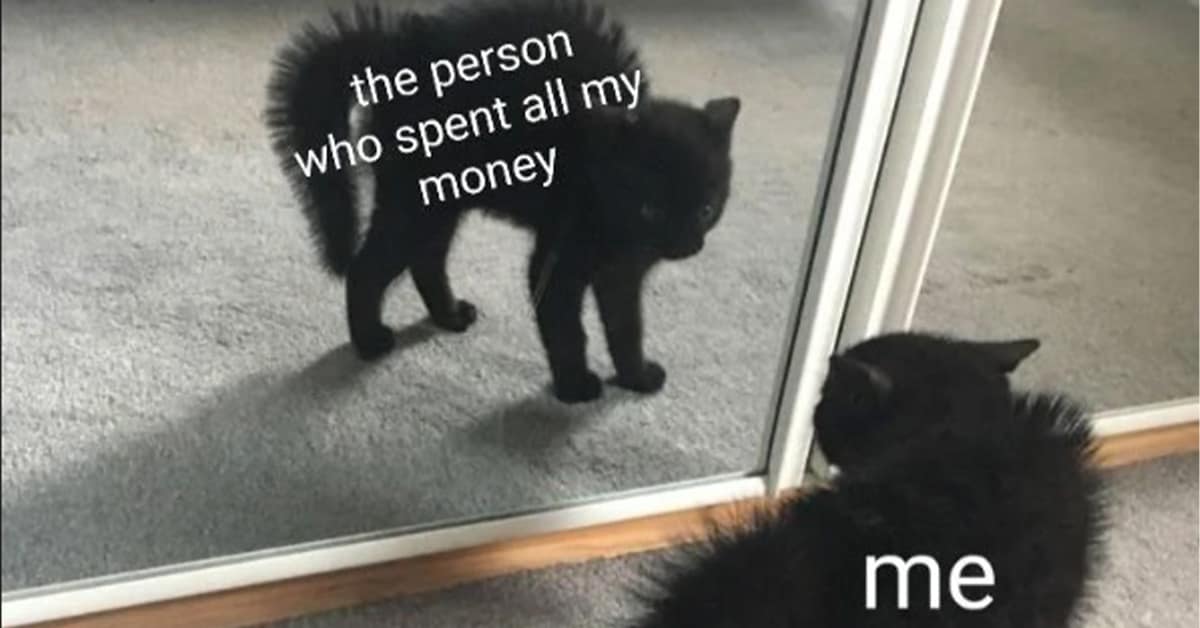 Collection of classic meme images and viral tweet compilations featuring text message excuses and cosplay frogs