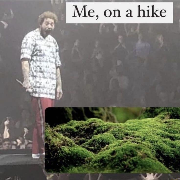 A funny meme comparing Post Malone screaming on stage to the excitement of finding moss on a hike