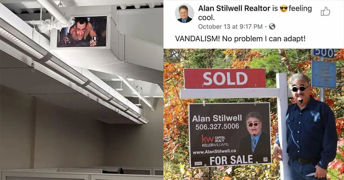 Collection of creative vandalism photos and funny wholesome vandalism examples featuring Putin and squirrels