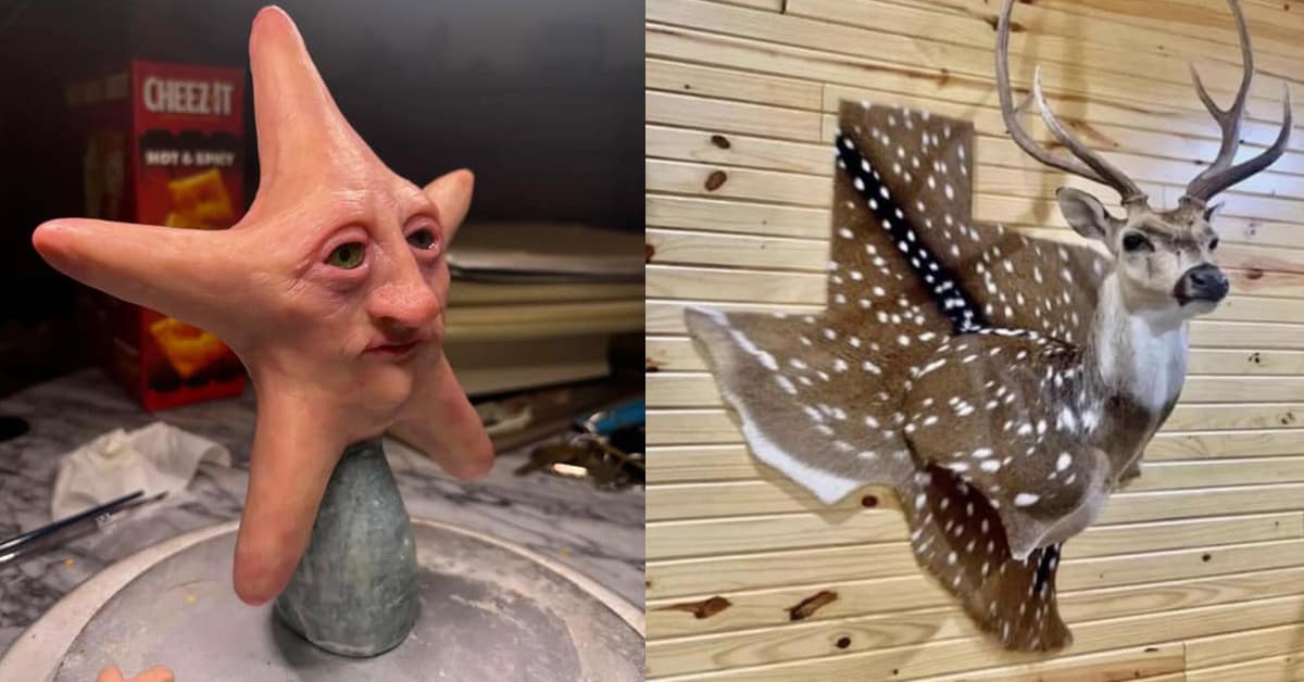 A compilation of cursed images and the best cursed photos to haunt your eyeballs.