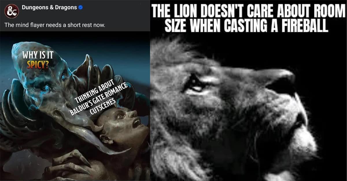 Collection of D&D memes and dungeons and dragons memes for tabletop gamers