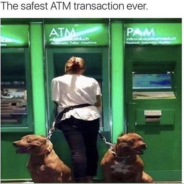 Woman using two large Pitbulls as protection at an ATM in a funny dog meme.