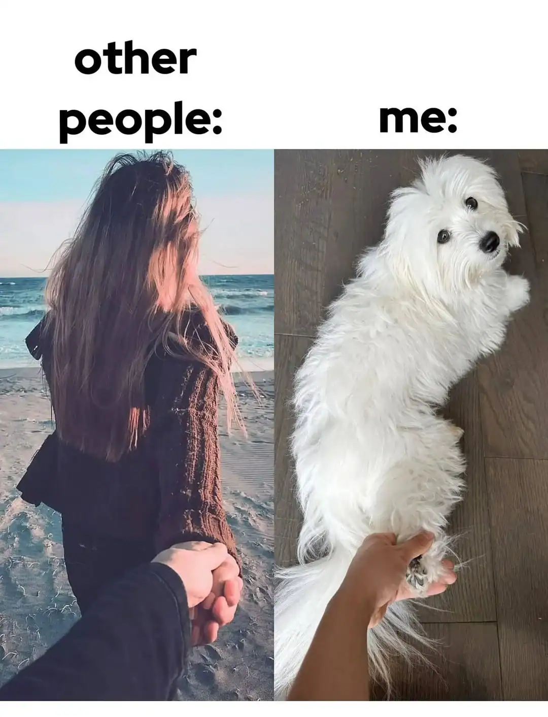 30 Hilarious Corgi Memes for When You're Feeling Ruff | Reader's Digest, image size:1080x1411