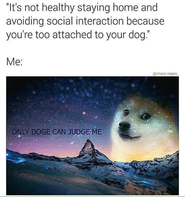 Doge meme floating in a galaxy background saying "Only Doge Can Judge Me" in a funny dog meme.