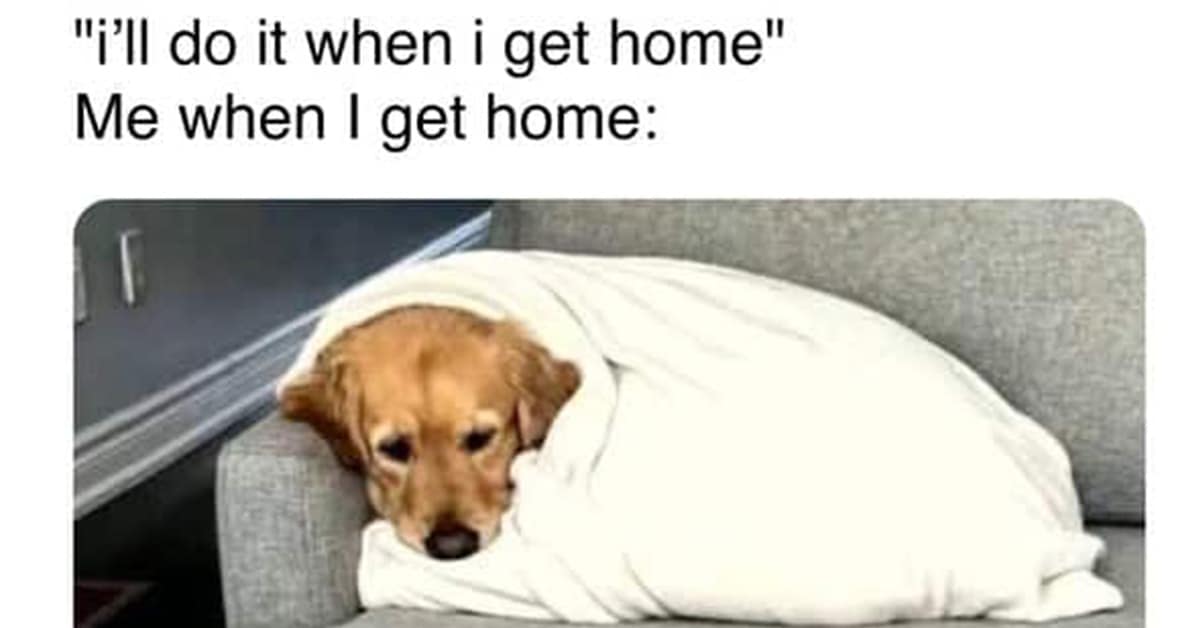 Collection of funny memes for women and funny women tweets featuring American Girl Dolls and Gen Z interns