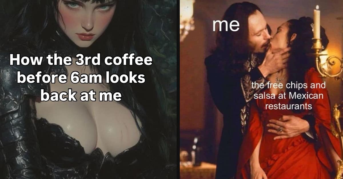 Collection of viral internet humor including cats and design fails in a funny memes gallery