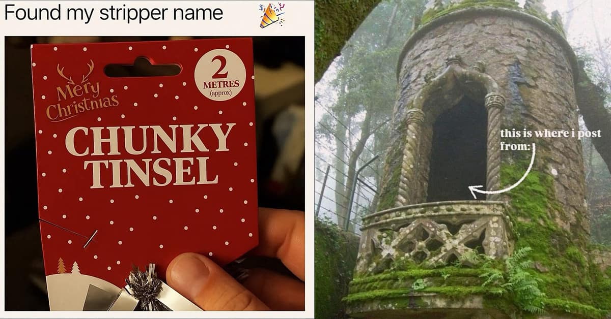 Collection of funny memes and funny pictures featuring cats and Star Trek jokes