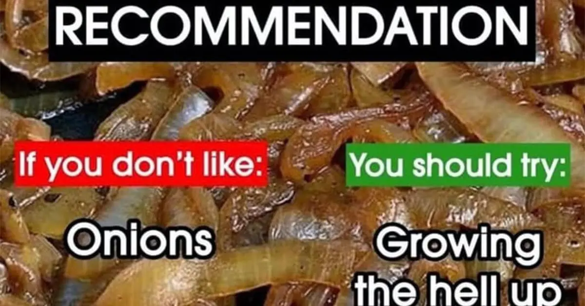 Collection of funny meme gallery items and funny pic compilations featuring Shrek and Jersey Shore