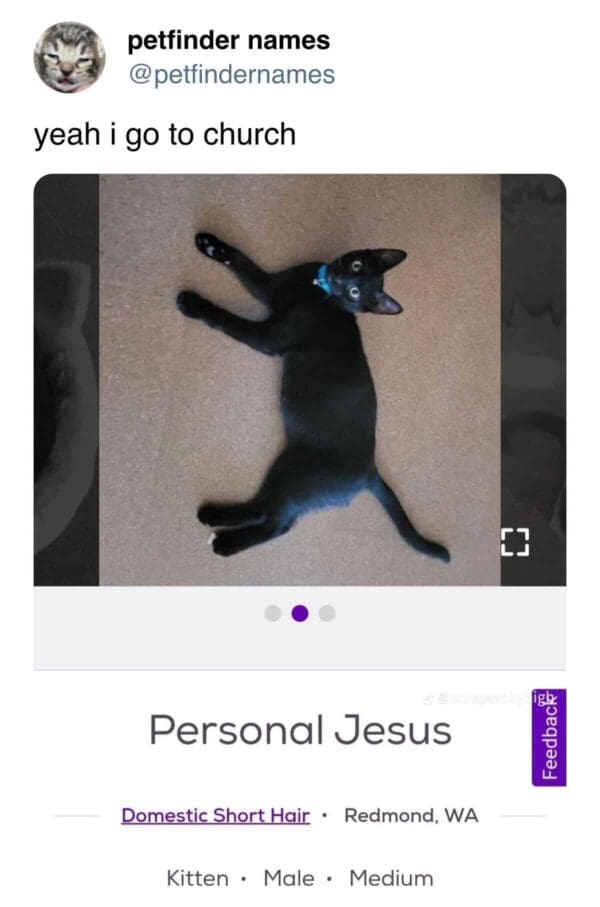 Black cat lying on floor with arms outspread named Personal Jesus.