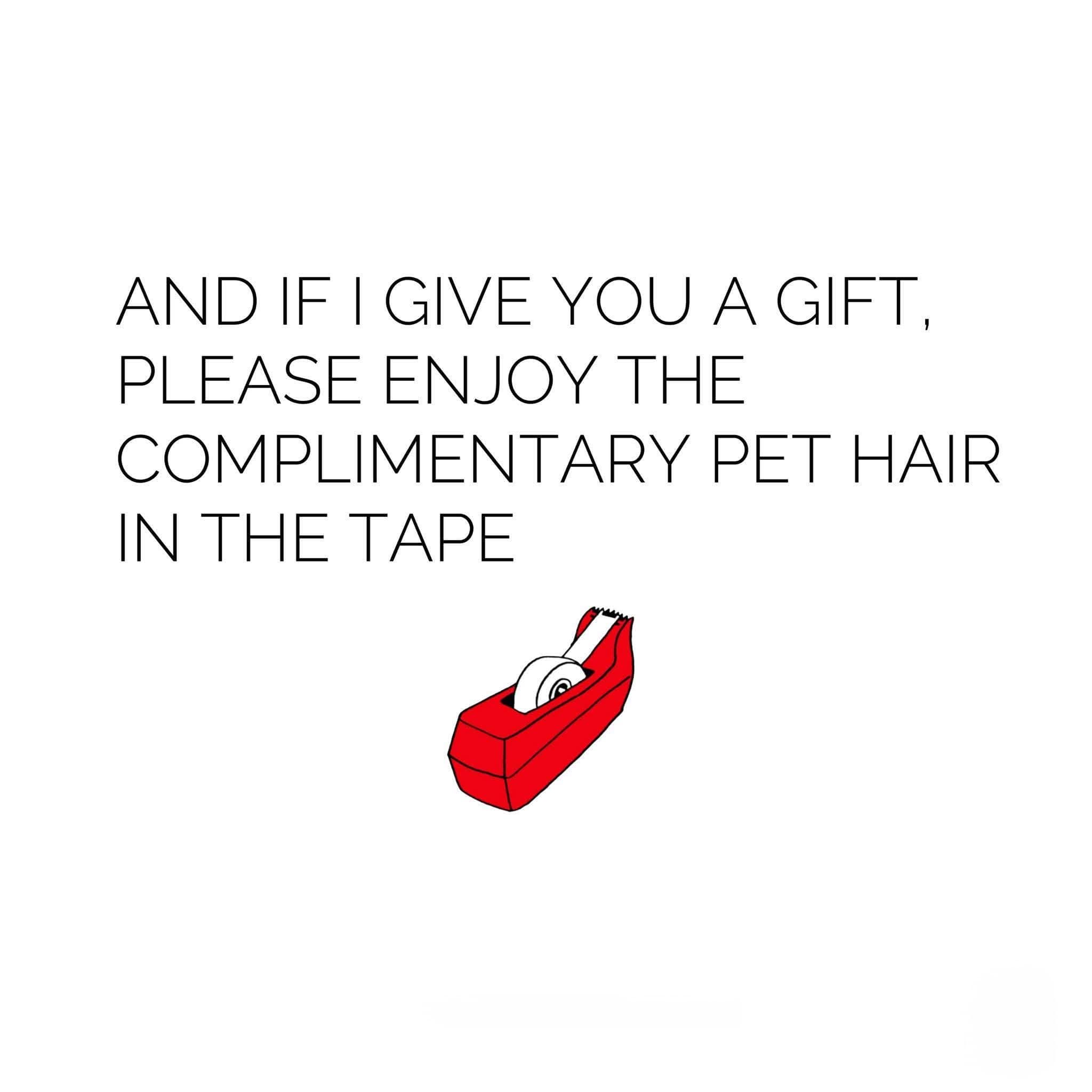 Graphic apologizing for cat hair stuck in gift wrapping tape funny pics.
