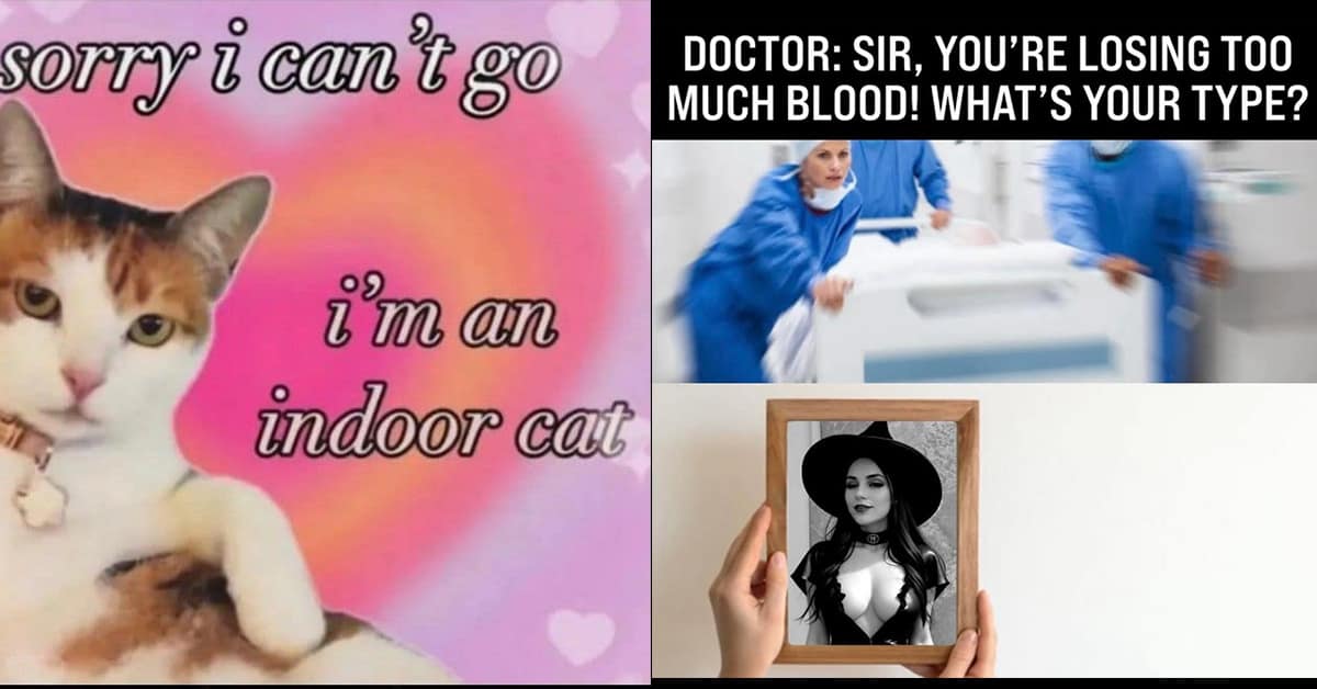 A compilation of funny pics and funny memes for your morning time wasting pleasure.