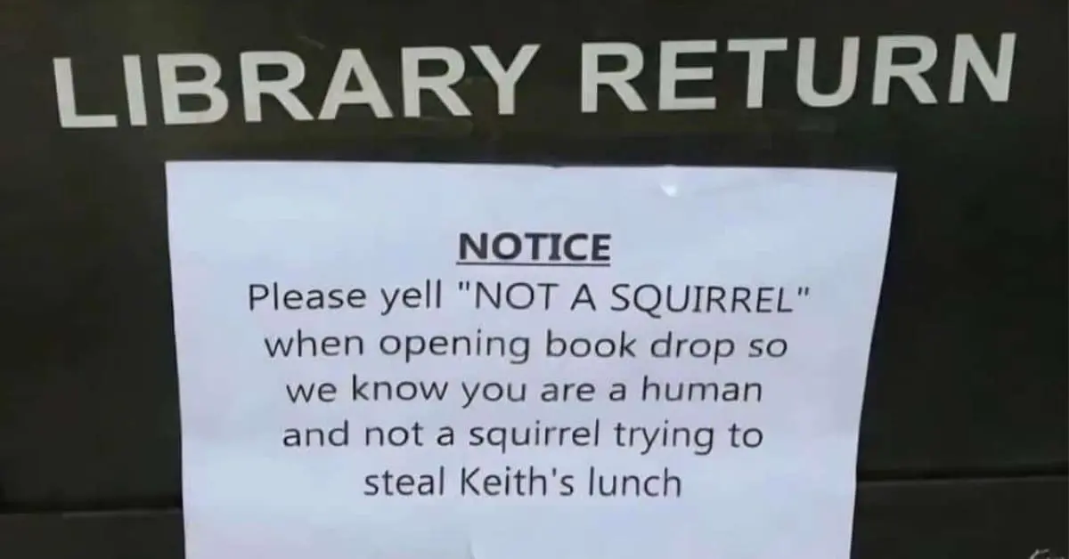 Collection of funny sign images and hilarious signage compilations featuring haunted areas and honest car washes