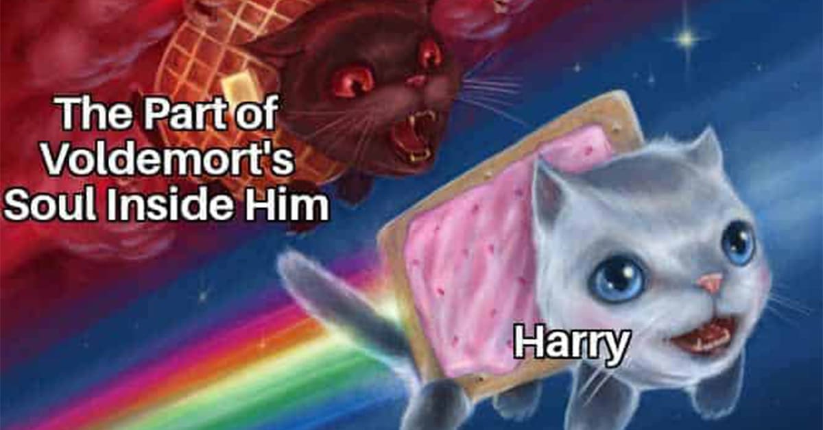 Collection of Harry Potter meme images and meme about Harry Potter compilations featuring Dumbledore and Dobby