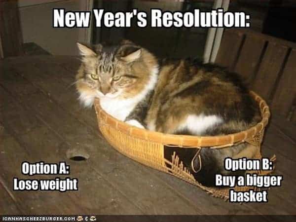 A funny new years hangover meme of a fat cat choosing a bigger basket over losing weight.