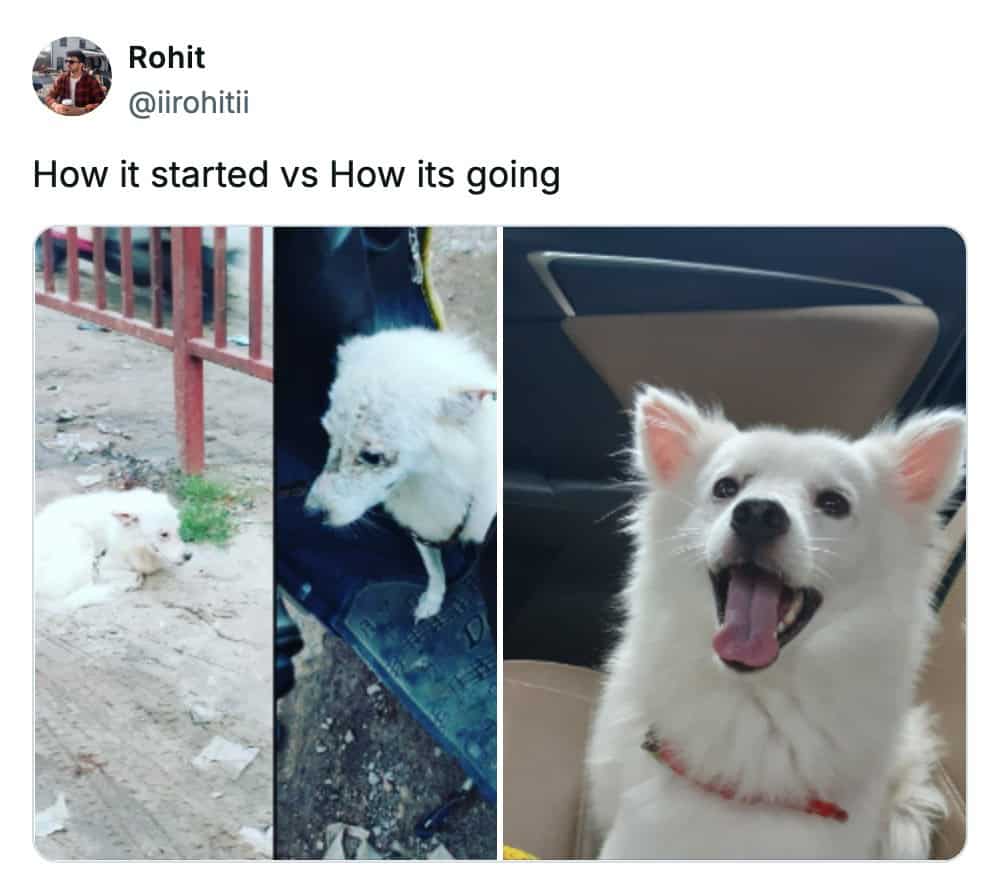 30 How It Started Vs How Its Going Memes For Feel Good Scrolls 30 How It Started Vs How Its Going Memes For Feel Good Scrolls