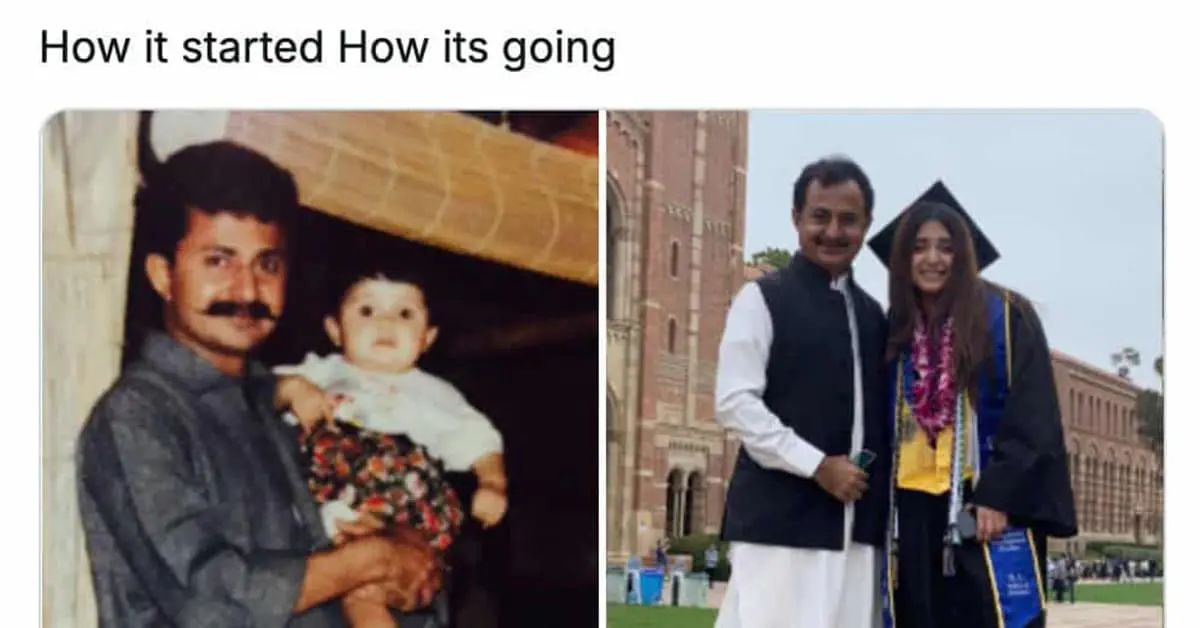 Collection of how it started vs how its going meme images and a wholesome meme gallery featuring a dog rescue and a pilot