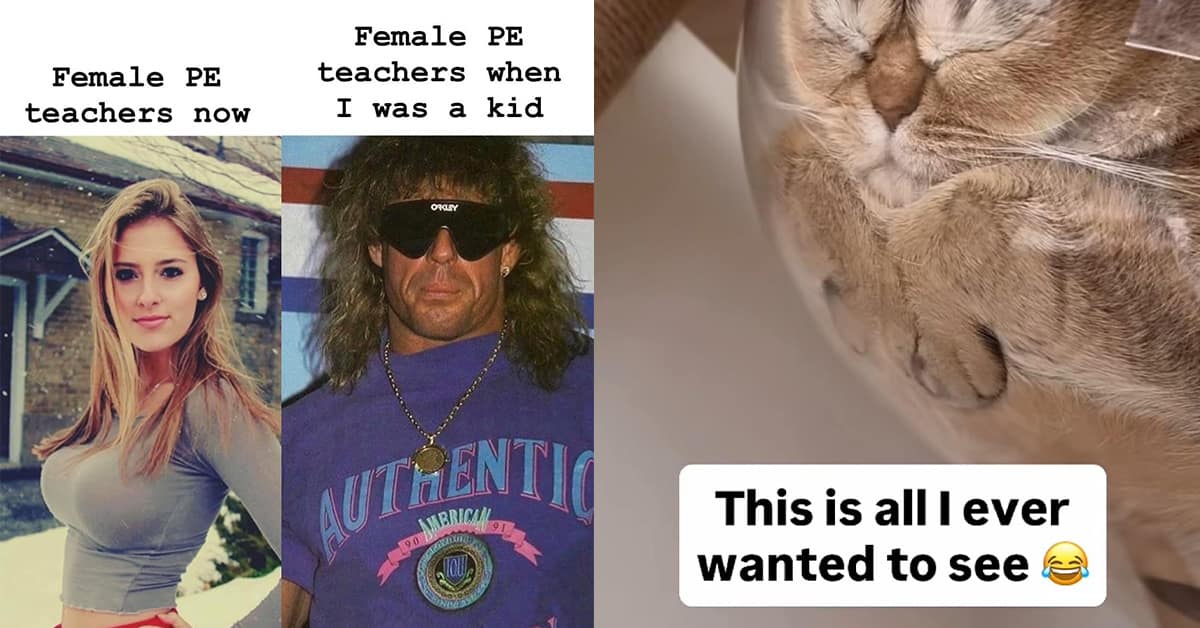 Compilation of the best funny meme images and meme dump randomness