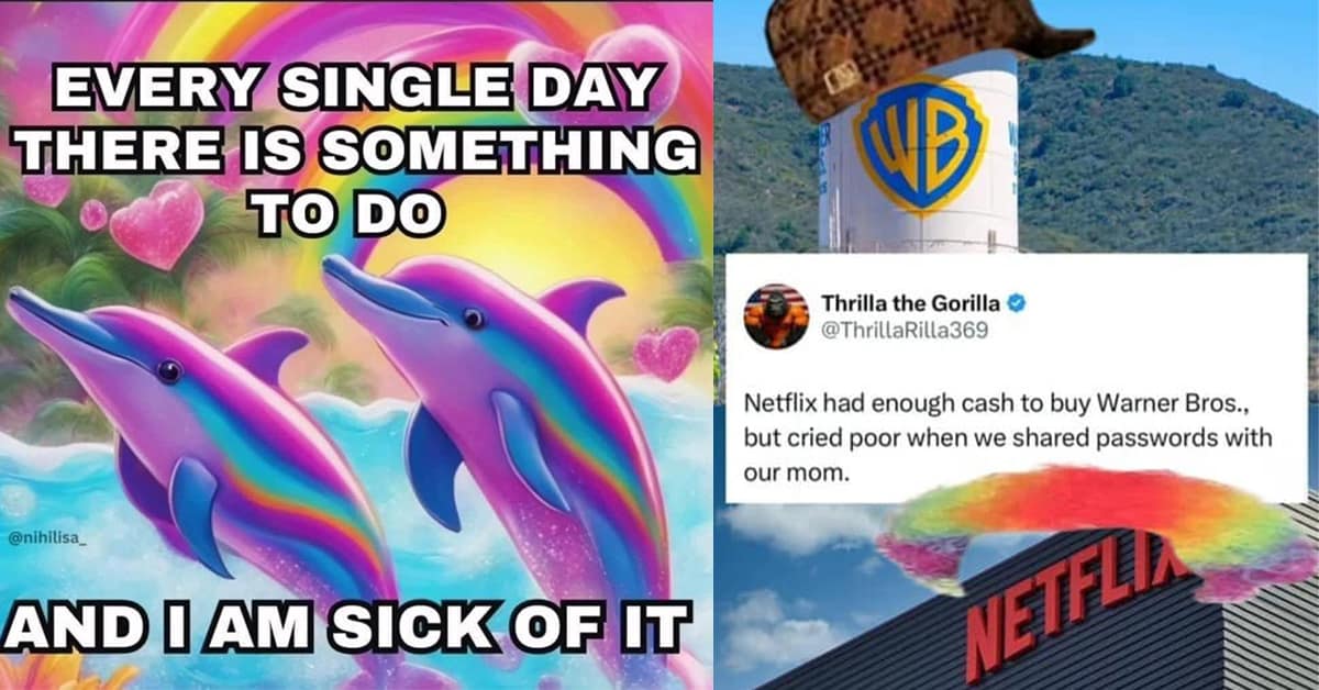 Collection of funny meme images and a meme dump featuring dolphins and fantasy football punishments