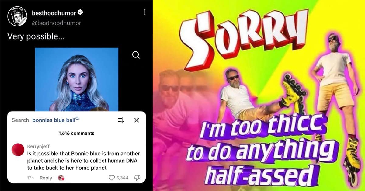 Collection of funny meme images and meme dump compilations featuring DoorDash instructions and Big Bird chairs