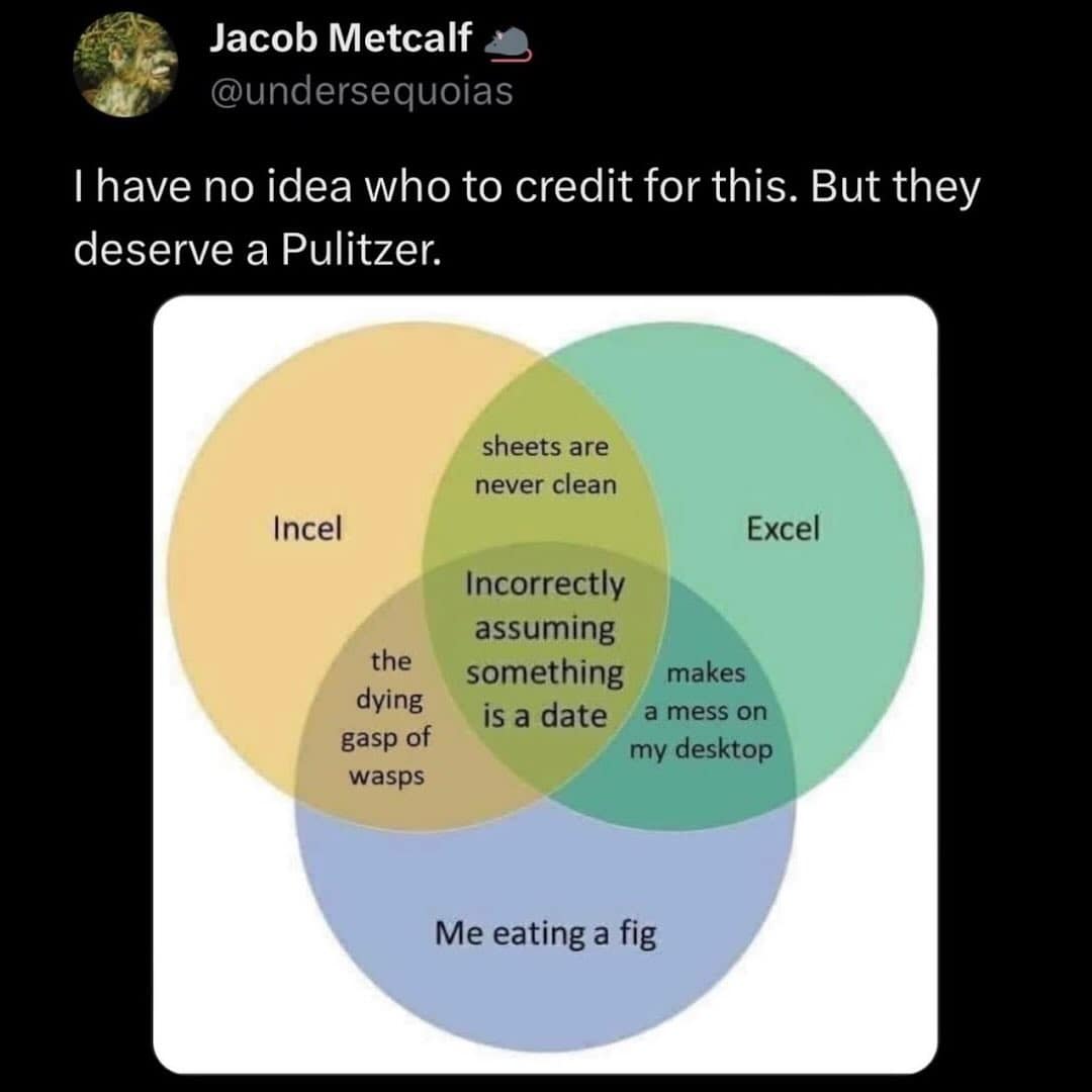 A complex Venn diagram meme overlapping Incel, Excel, and Me Eating a Fig.
