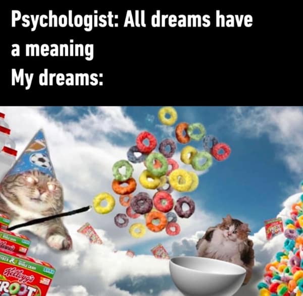 A sleep meme comparing deep psychological meaning to a chaotic dream about a cat wizard.