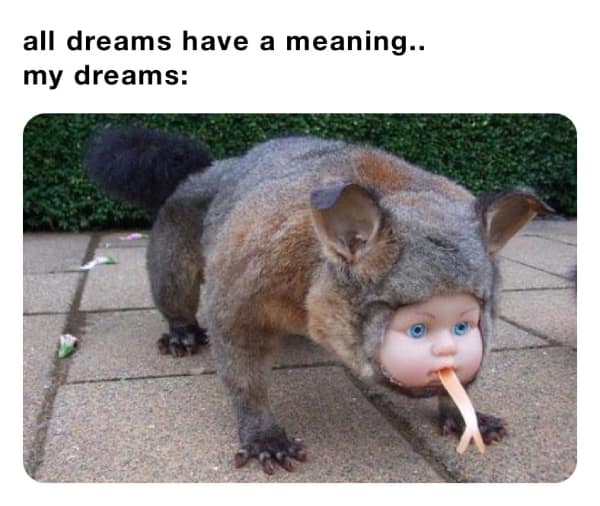 A sleep meme showing a terrifying opossum with a baby doll face representing dream logic.