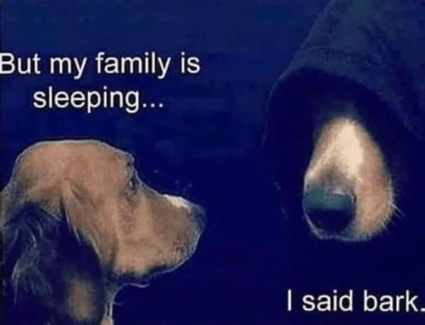 A sleep meme of a dog in a hood convincing another dog to bark while the family sleeps.