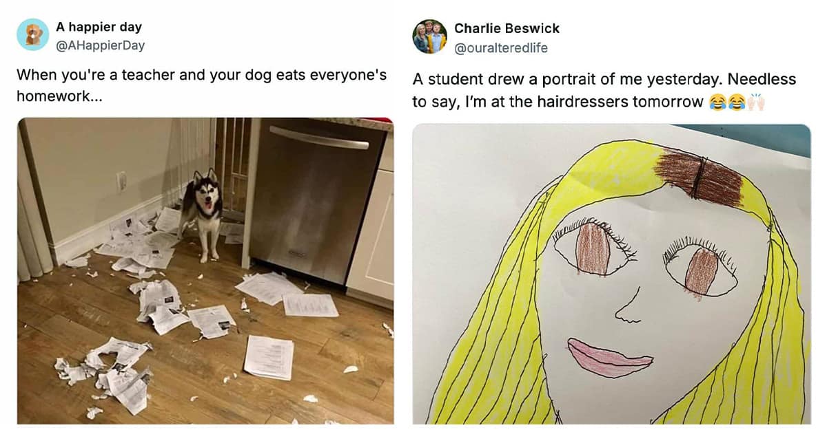 Collection of teacher meme images and funny teacher tweet compilations featuring spiders and brutal student honesty