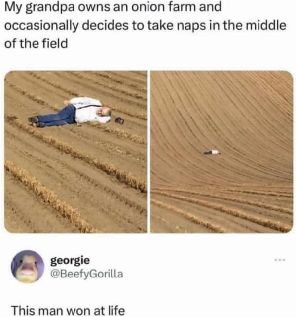 A wholesome meme tweet about a grandpa napping in the middle of his onion field.