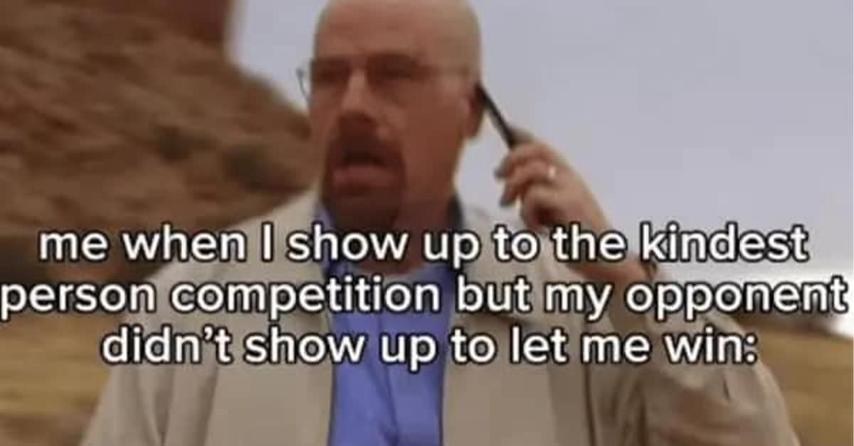 Collection of wholesome meme images and heartwarming meme compilations featuring LOTR sleepovers and Whole Milk the cat