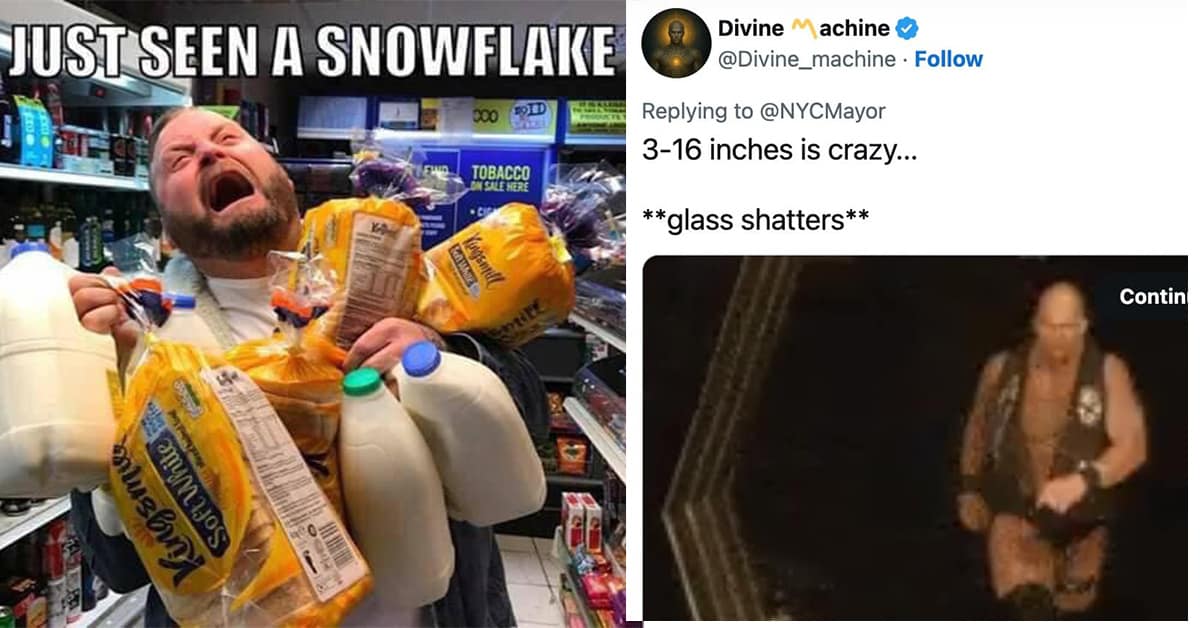 Collection of 2026 snowmageddon memes and snow day memes featuring grocery store panics, Oprah's snow giveaway, and buried cars.
