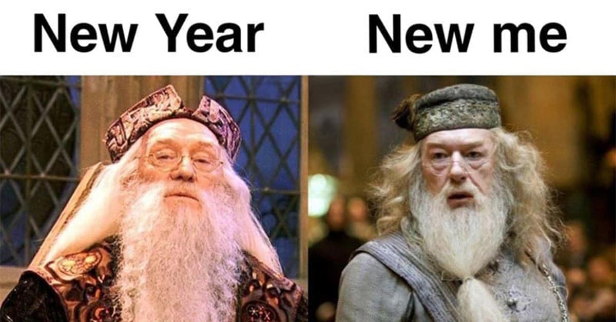 Collection of Harry Potter memes and funny memes about Harry Potter featuring Dudley Dursley, Mandrakes, and Ron Weasley.