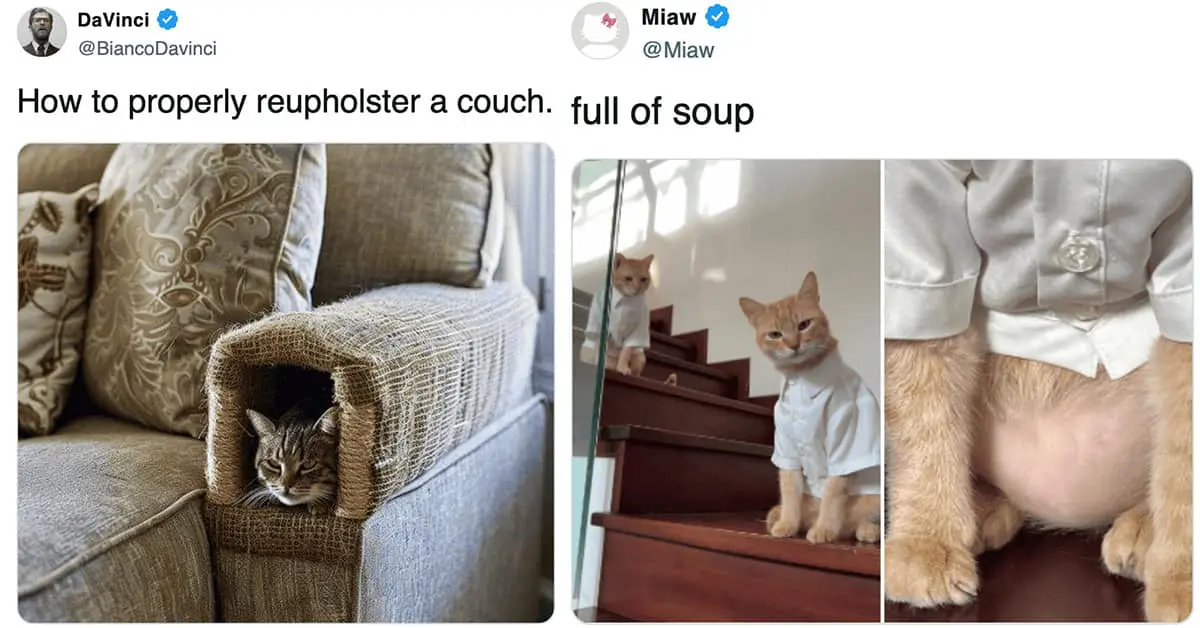 Collection of cat meme favorites and funny cat tweets featuring Frank the snow cat and Home Depot employee cat.