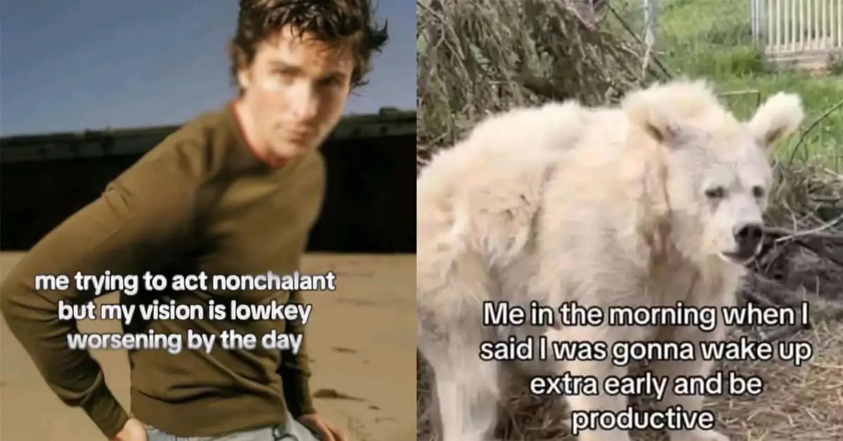 Collection of classic meme images and vintage meme favorites including SpongeBob headphones and Frodo's Reddit post.