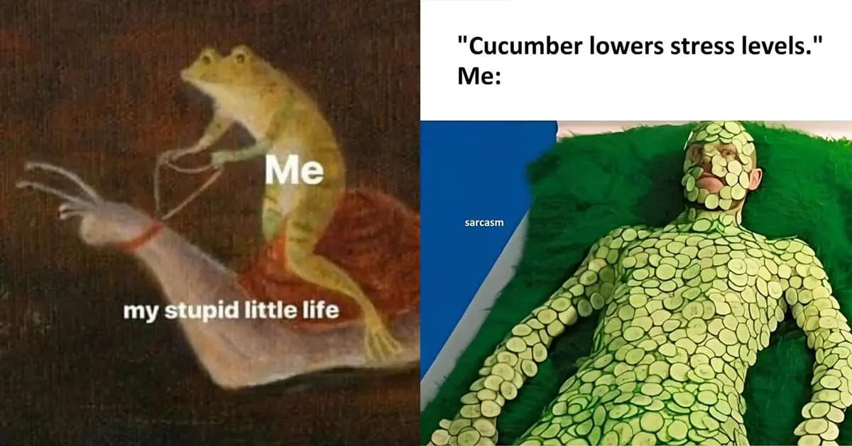 Collection of classic memes and viral tweets favorites featuring Lord of the Rings humor and unfortunate sports graphics