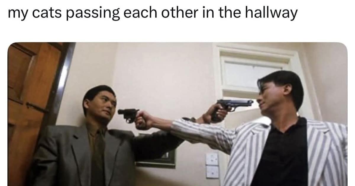 A collection of classic memes and vintage memes featuring the trailer shark, mac and cheese tragedies, and existential trains.