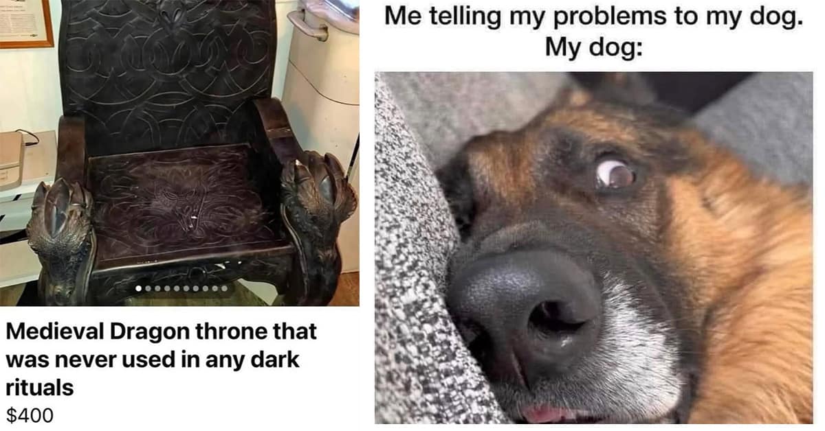 A collection of classic meme hall-of-famers including the "grilled threese," the "hot tamale" sign, and the blinding LED headlights.