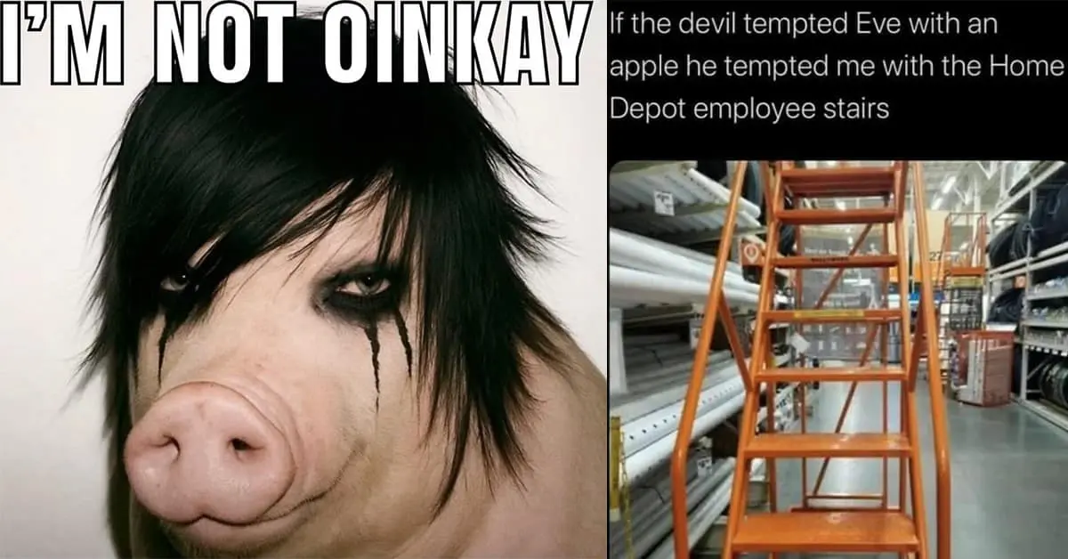 Collection of classic meme hall-of-famers including the Home Depot stairs, the Duolingo threat, and the emo pig.