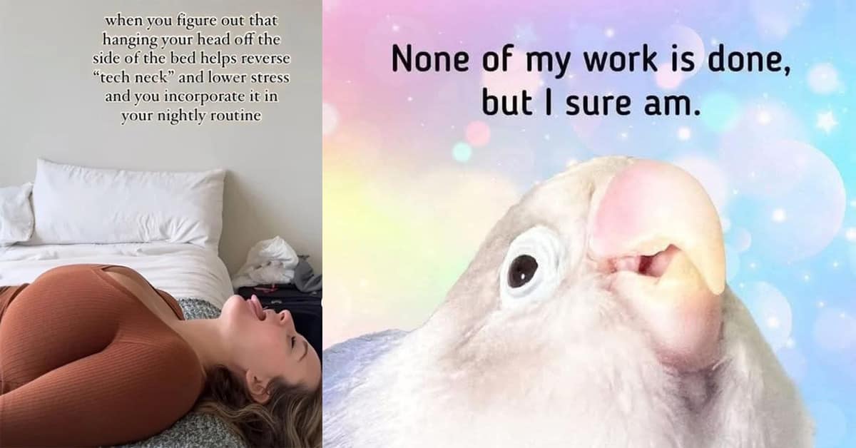 Collection of classic meme images and viral tweet favorites featuring Anakin Skywalker and WordArt jokes.