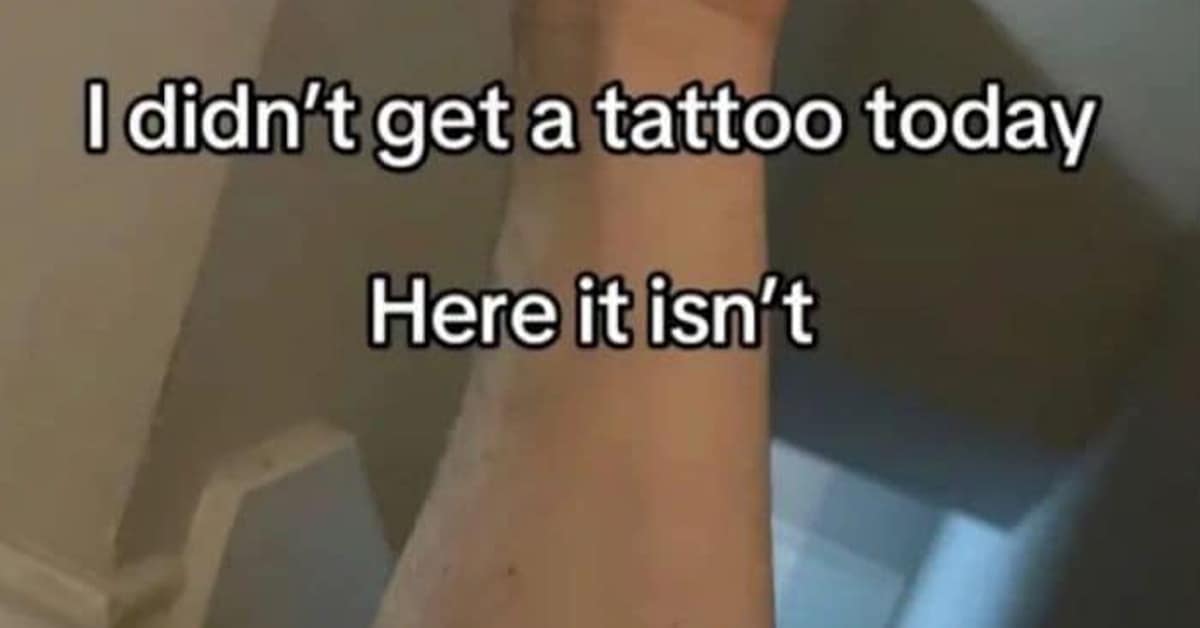 Collection of classic meme images and viral tweet favorites featuring Zyn gardens, snoring tracks on Spotify, and skeleton reactions