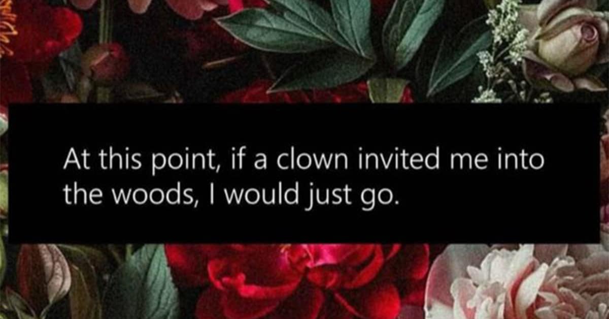 Collection of classic memes and viral tweets favorites featuring cargo shorts vindication and bread suitcases.