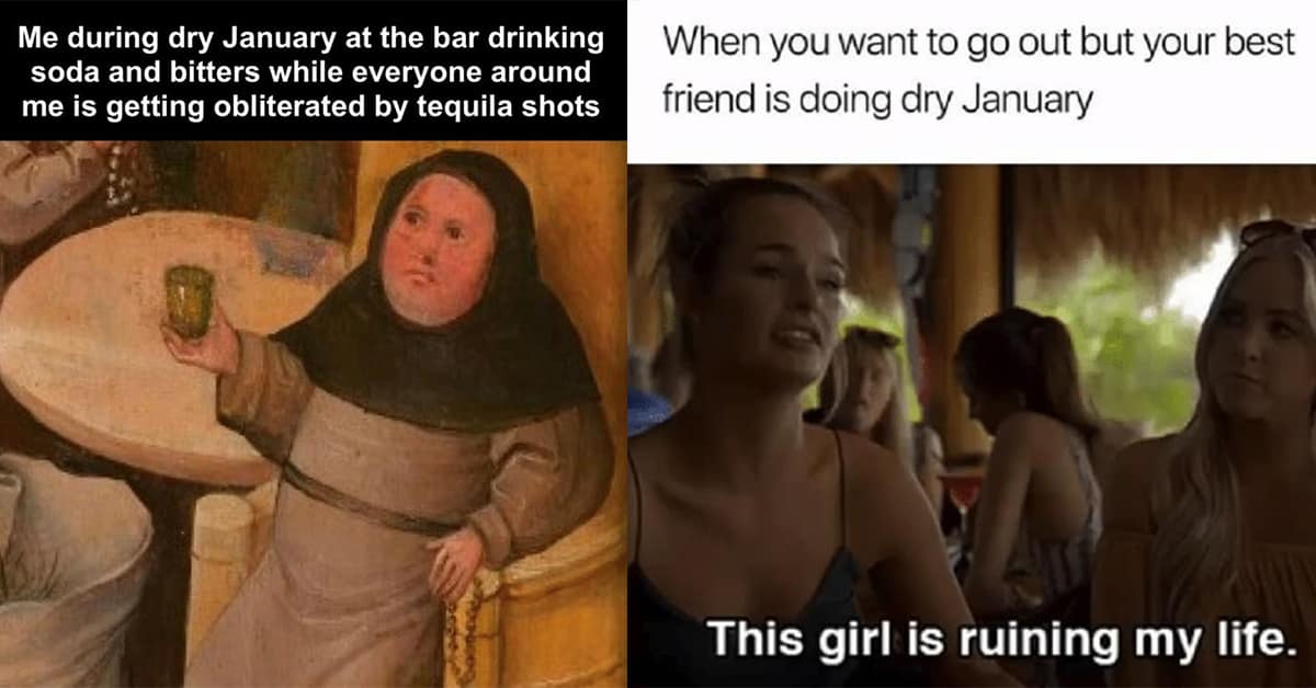 Collection of Dry January meme images and 2026 dry January memes including hibernation jokes and mocktail fails.